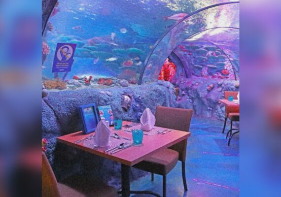 Underwater Dining Experience In Malaysia