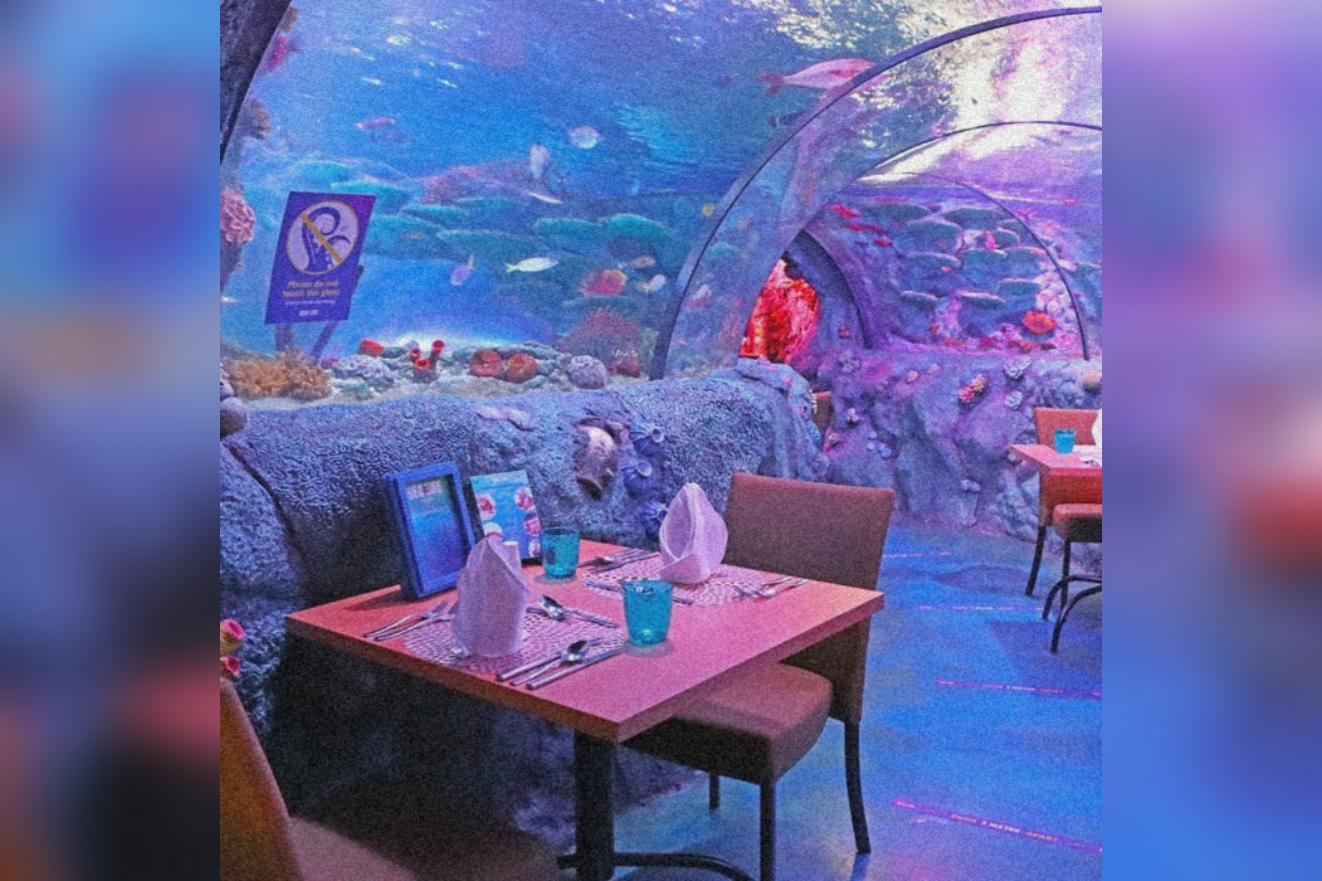 Underwater Dining Experience In Malaysia
